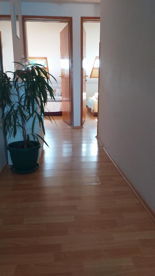 Apartmani "Zuka" Korčula Extérieur photo